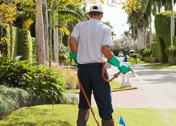 About Little River AL Pest Control